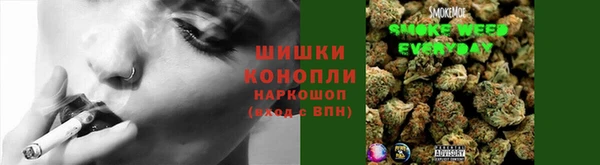 бошки Аркадак