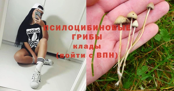 ГАЛЛЮЦИНОГЕННЫЕ ГРИБЫ Арсеньев